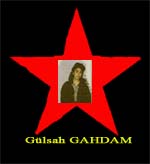 Gulsah GAHDAM.jpg (8621 Byte)