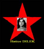 Hatice DILEK.jpg (7906 Byte)