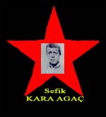 Sefik KARA AGAC.jpg (8126 Byte)