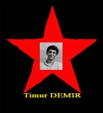 Timur DEMIR.jpg (7796 Byte)