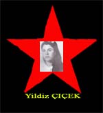 Yildiz CICEK.jpg (8300 Byte)